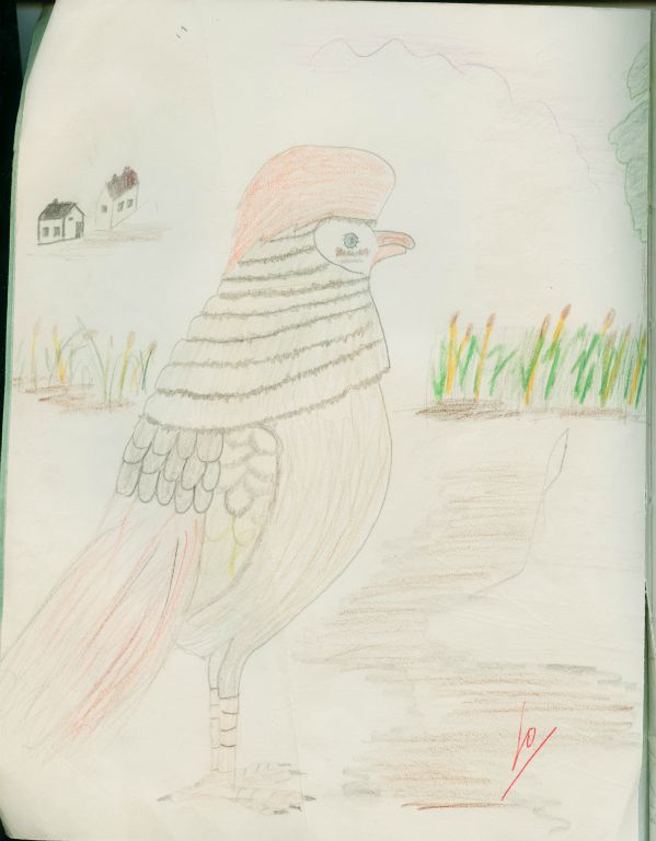 Dutch art, Scanned by Jos van der Woude, drawing